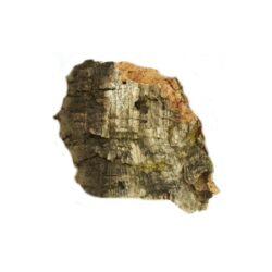 JMCB Javis Medium Cork Bark